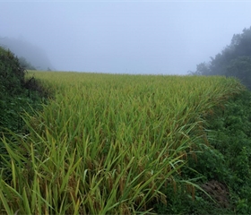 快盈VIII-购彩大厅welcome注册
