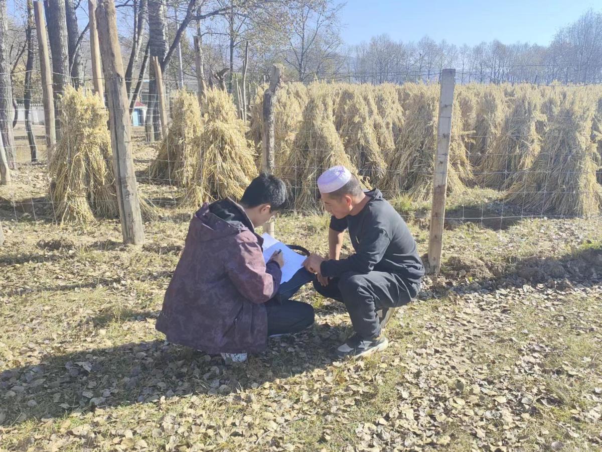 化隆县、相助县园林草地定级效果顺遂通过县级审查 - 企业新闻 - 快盈VIII