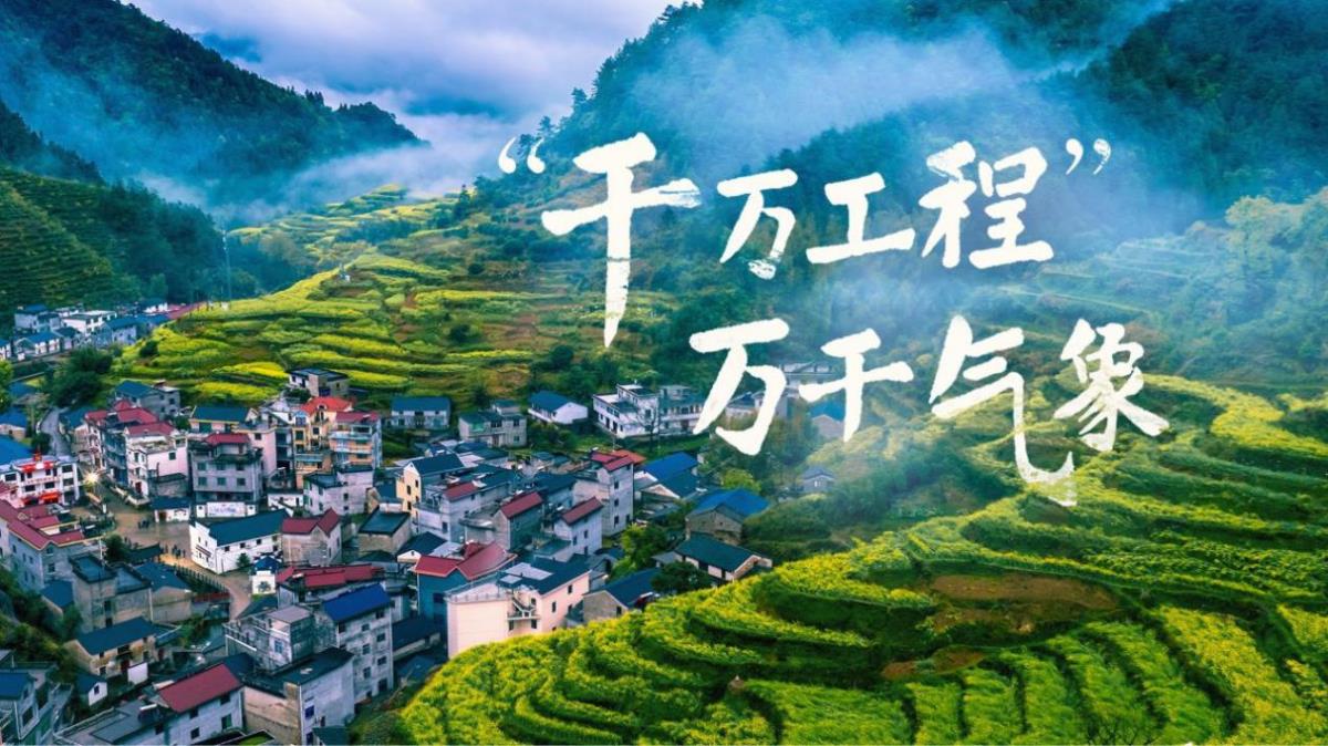 “万万工程”：墟落周全振兴的乐成树模 - 企业新闻 - 快盈VIII
