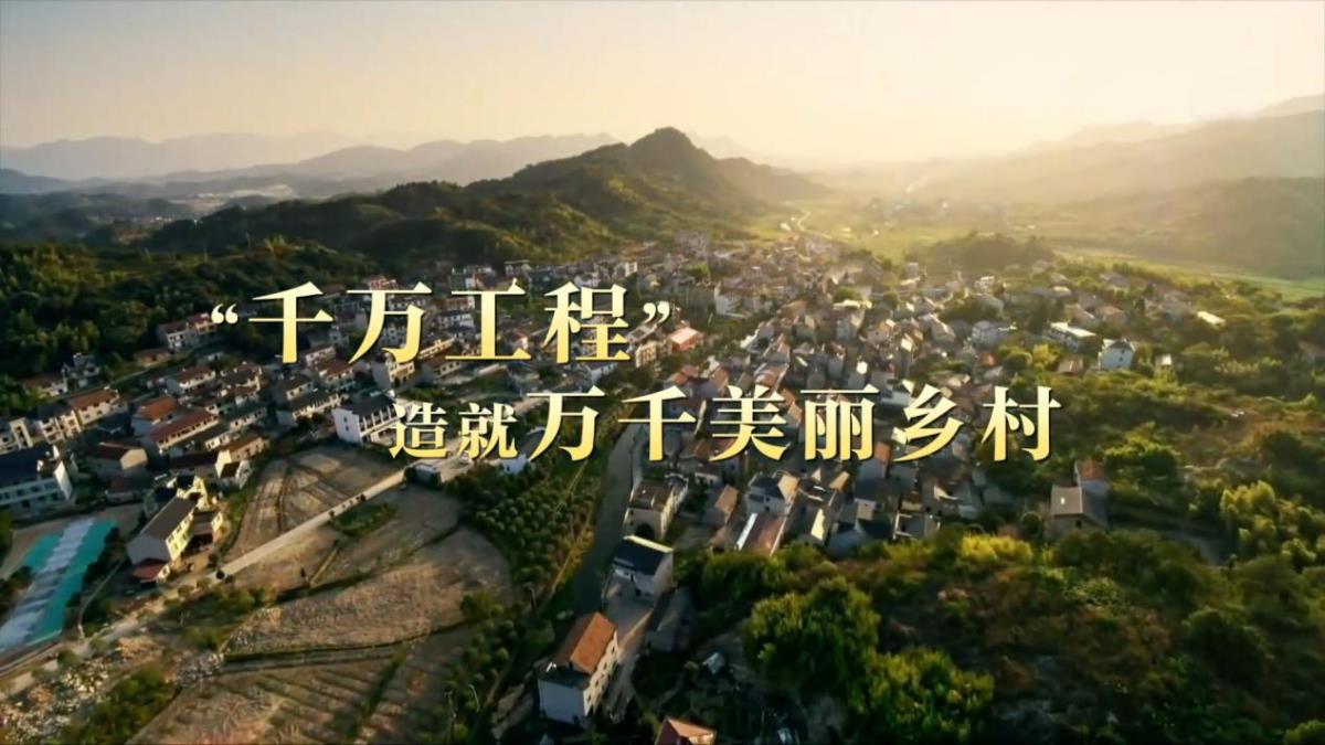 “万万工程”：墟落周全振兴的乐成树模 - 企业新闻 - 快盈VIII