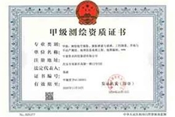 声誉资质 - 快盈VIII