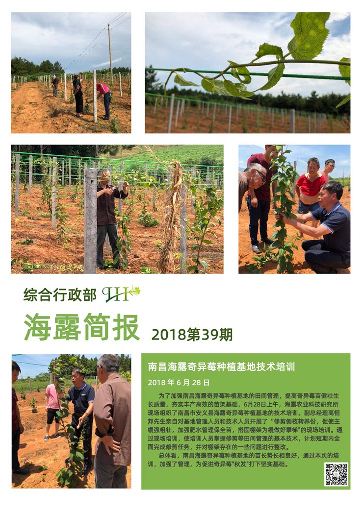 ��ҳ-SA��Ѷ���ٷ���վ