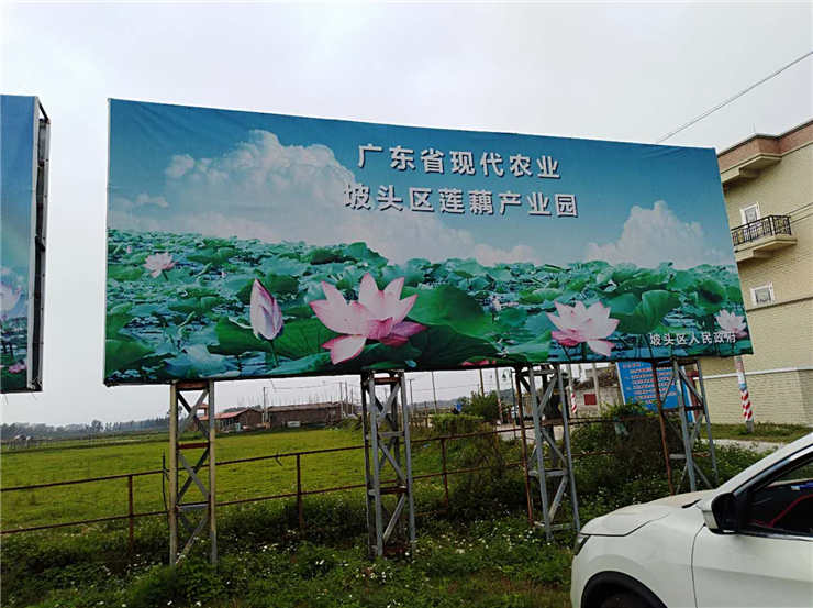 ��ҳ-SA��Ѷ���ٷ���վ