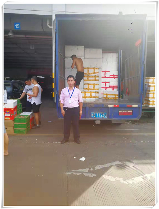 ��ҳ-SA��Ѷ���ٷ���վ