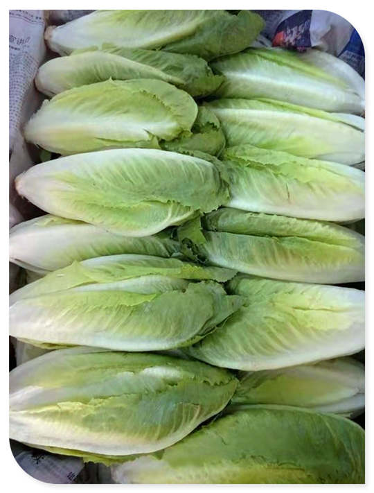 ��ҳ-SA��Ѷ���ٷ���վ