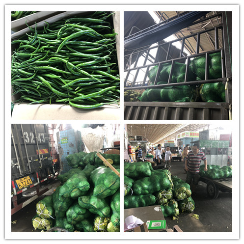 ��ҳ-SA��Ѷ���ٷ���վ