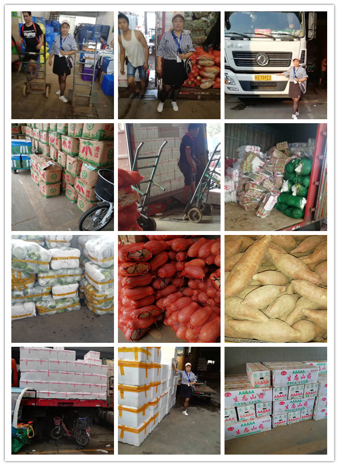 ��ҳ-SA��Ѷ���ٷ���վ
