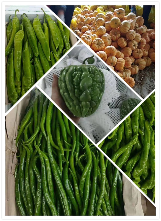 ��ҳ-SA��Ѷ���ٷ���վ