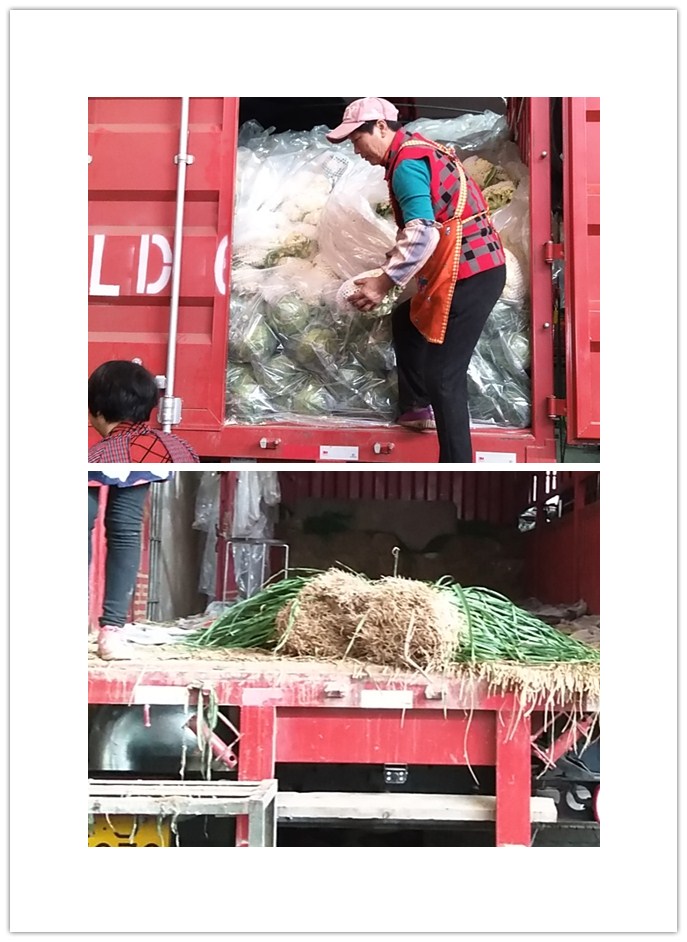 ��ҳ-SA��Ѷ���ٷ���վ