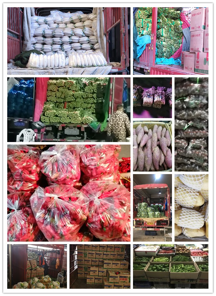 ��ҳ-SA��Ѷ���ٷ���վ