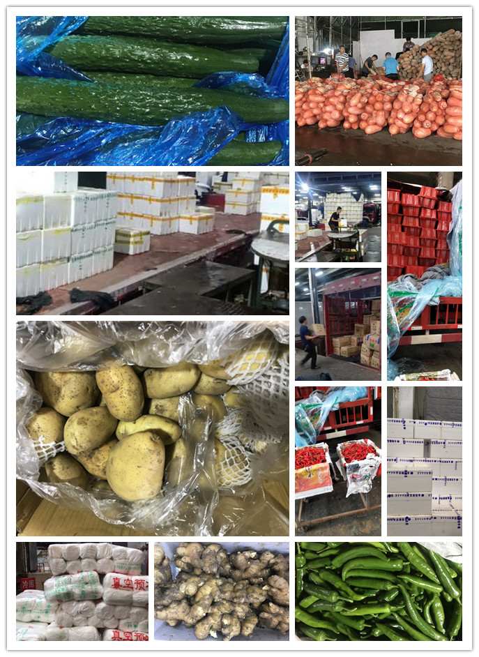 ��ҳ-SA��Ѷ���ٷ���վ