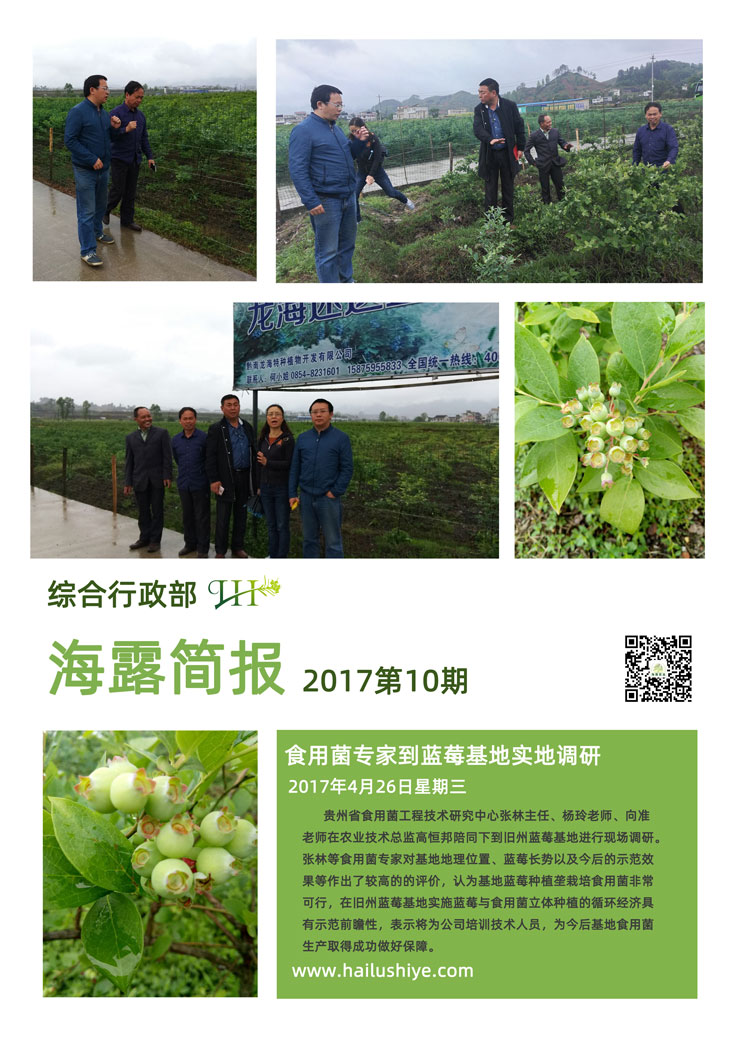 ��ҳ-SA��Ѷ���ٷ���վ